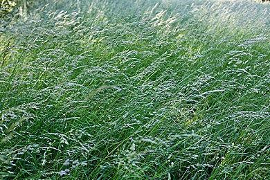 小岛秀夫不服老：有创作激情 我可以坚持下去！